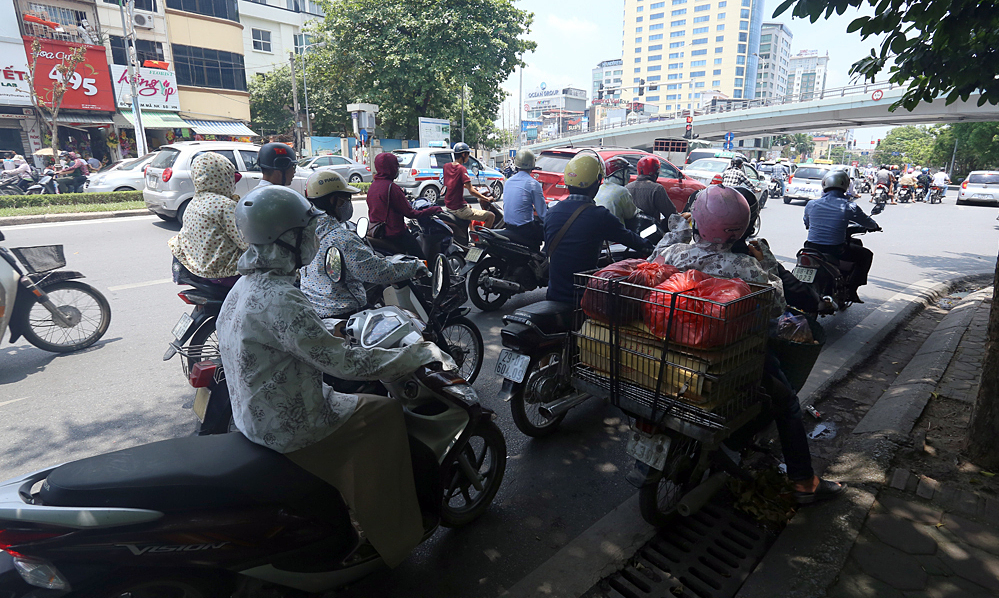 Dừng đèn đỏ dưới bóng cây có thể bị phạt